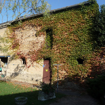 Rénovation à la chaux